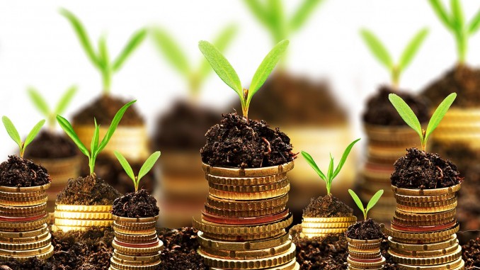 Investment Ideas in India