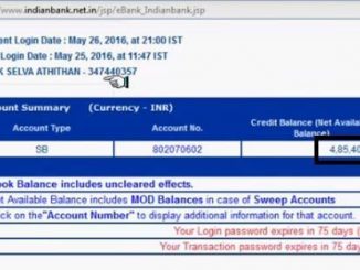 indian bank balance check via net banking