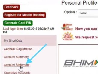 account statement Punjab National Bank