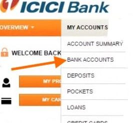 icici account statement