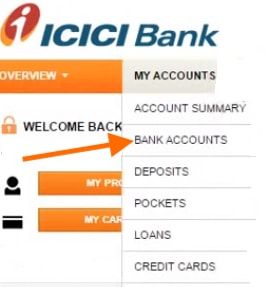 icici account statement