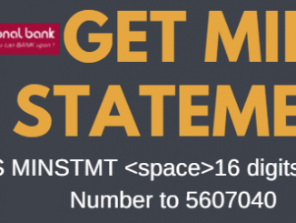 pnb mini statement number