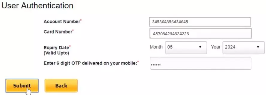 3 Ways To Generate Pnb Green Pin Reset Pnb Atm Pin Online