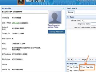 payslip hrms odisha