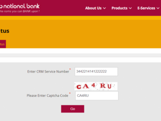 pnb complaint status online