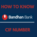 Know Bandhan Bank CIF Number