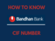 Know Bandhan Bank CIF Number