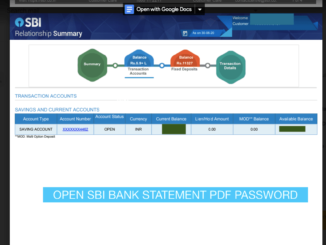 Open SBI Bank Statement PDF Password