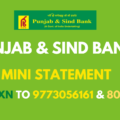 Punjab And Sind Bank Mini Statement Number