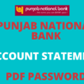 pnb statement pdf password