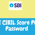 sbi cibil score pdf password