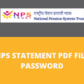 NPS Statement PDF Password