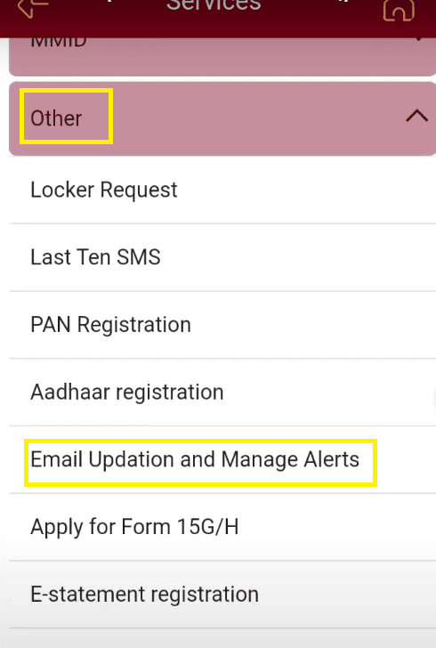 email updation pnb one