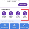 check balance in phonepe