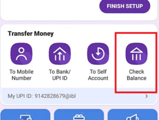 check balance in phonepe