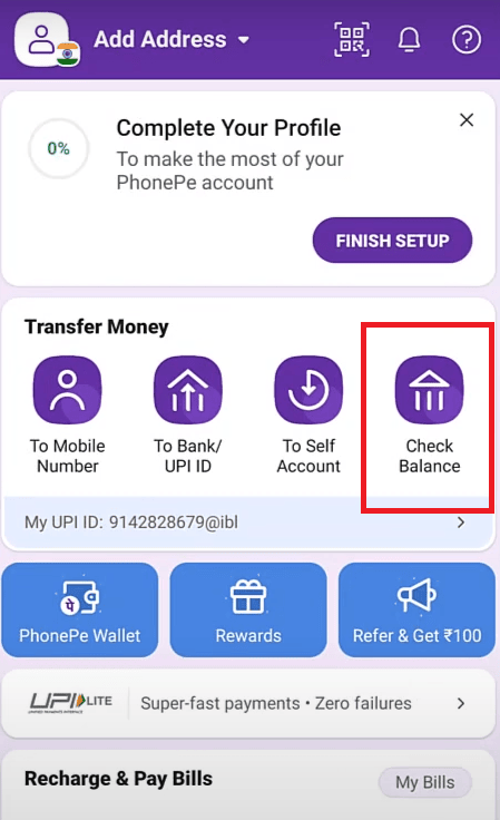 check balance in phonepe