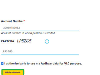 validate account pensionseva sbi