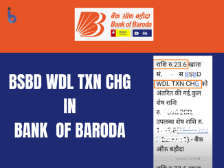 What is BSBD Wdl Txn Chg In Bank of Baroda?