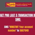 pnb last 5 transaction by sms