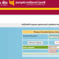 pnb npci link online