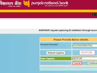 pnb npci link online